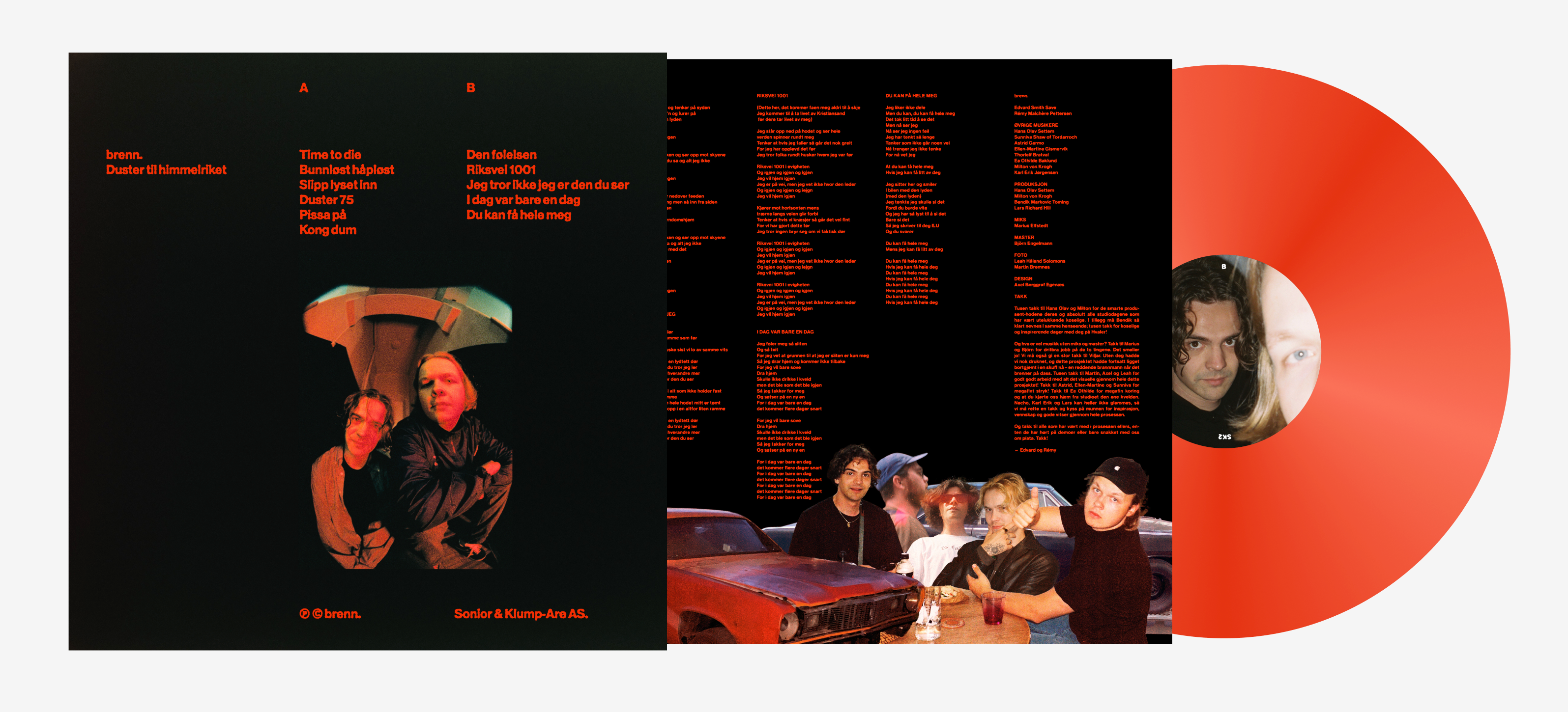Vinyl | Duster til himmelriket